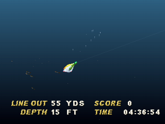 Saltwater Sportfishing