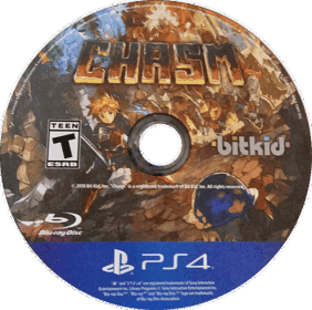 Chasm - Disc