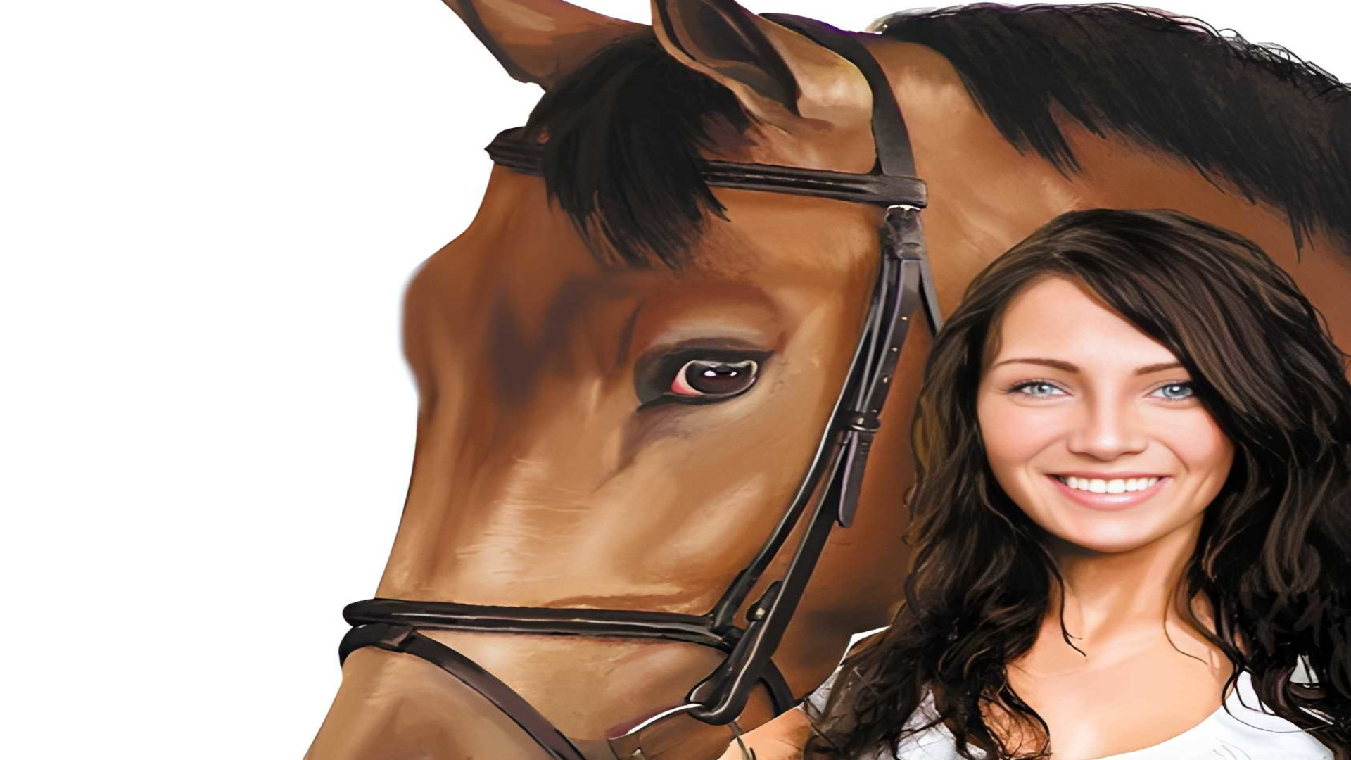 Dreamer Series: Horse Trainer