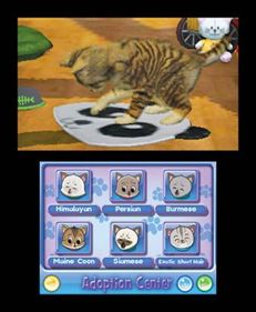 Purr Pals: Purrfection - Screenshot - Gameplay
