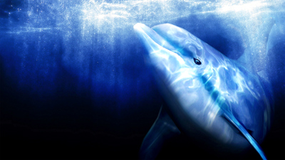 Ecco the Dolphin - Fanart - Background