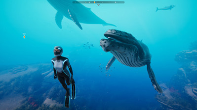 Beyond Blue - Screenshot - Gameplay