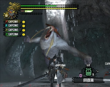 Monster Hunter 2 - Screenshot - Gameplay