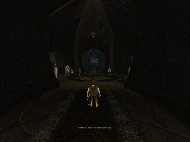 The Lord of the Rings: The Fellowship of the Ring - Screenshot - Gameplay
