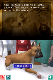 Pet Pals: Animal Doctor - Screenshot - Gameplay