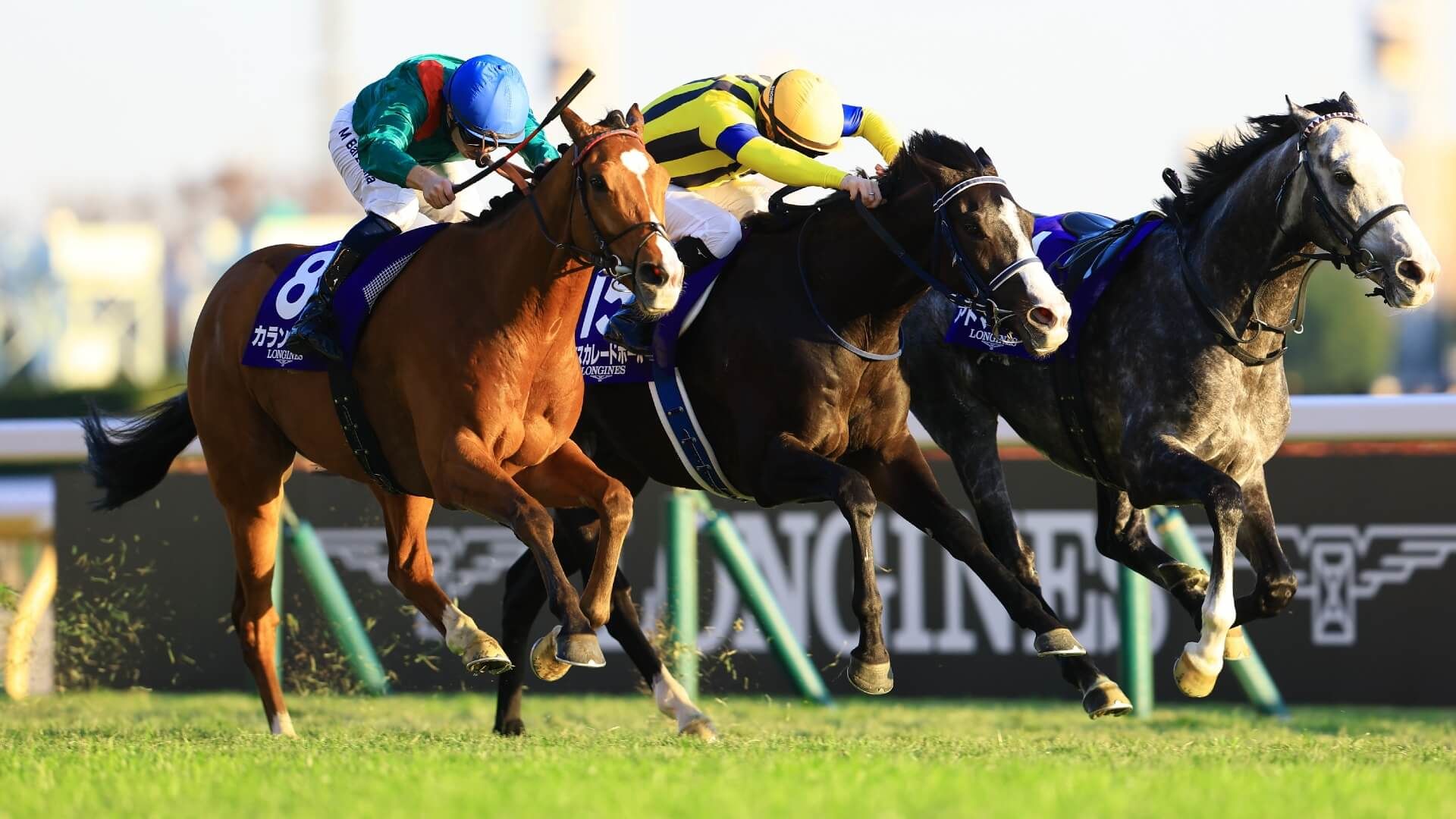 G1 Jockey 3