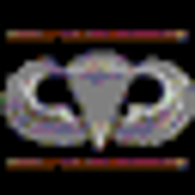 Medal of Honor: Airborne - Icon
