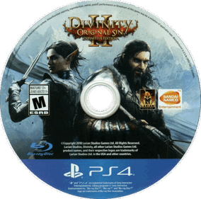 Divinity: Original Sin II: Definitive Edition - Disc