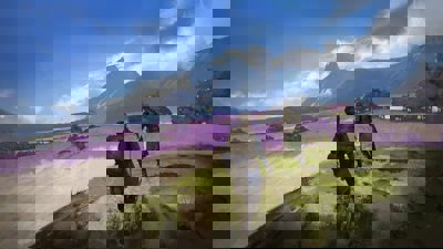 Outward Definitive Edition - Fanart - Background