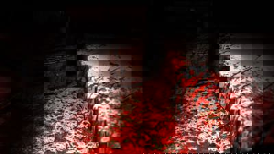 The Suffering - Fanart - Background