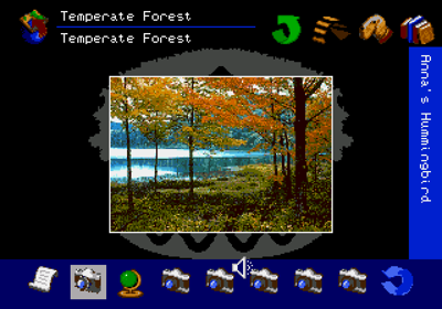 The San Diego Zoo Presents... The Animals! A True Multimedia Experience - Screenshot - Gameplay Image
