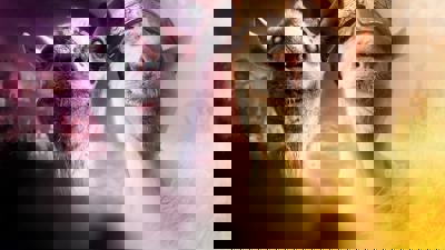 Goat Simulator: MMOre GoatZ Edition - Fanart - Background