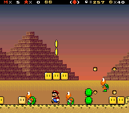 A Super Mario Adventure