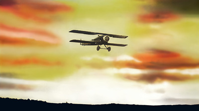 Wings