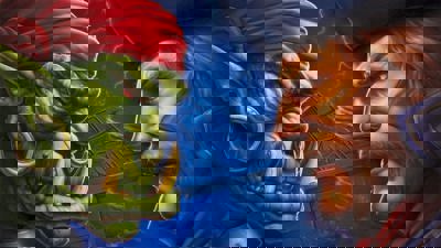 Warcraft II: The Dark Saga - Fanart - Background