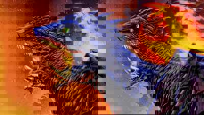 Gamera 2000 - Fanart - Background Image