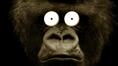 Donkey Kong Country - Fanart - Background