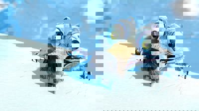 Ice Age 2: The Meltdown - Fanart - Background