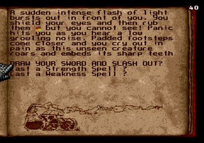 The Citadel of Chaos - Screenshot - Gameplay Image