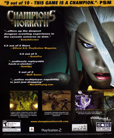 Champions of Norrath - Advertisement Flyer - Front