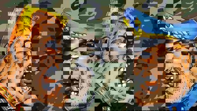 General Chaos - Fanart - Background