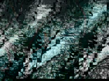 Blair Witch Volume I: Rustin Parr - Screenshot - Gameplay