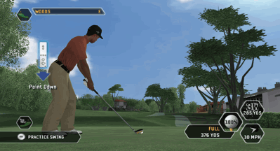 Tiger Woods PGA Tour 08