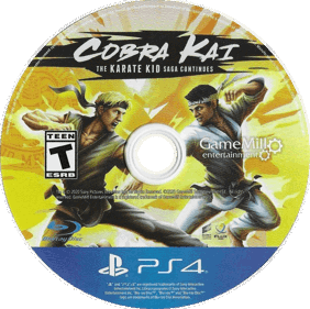 Cobra Kai: The Karate Kid Saga Continues - Disc