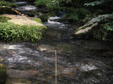 Reel Fishing - Screenshot - Gameplay