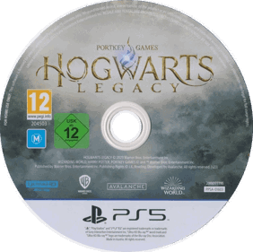 Hogwarts Legacy - Disc