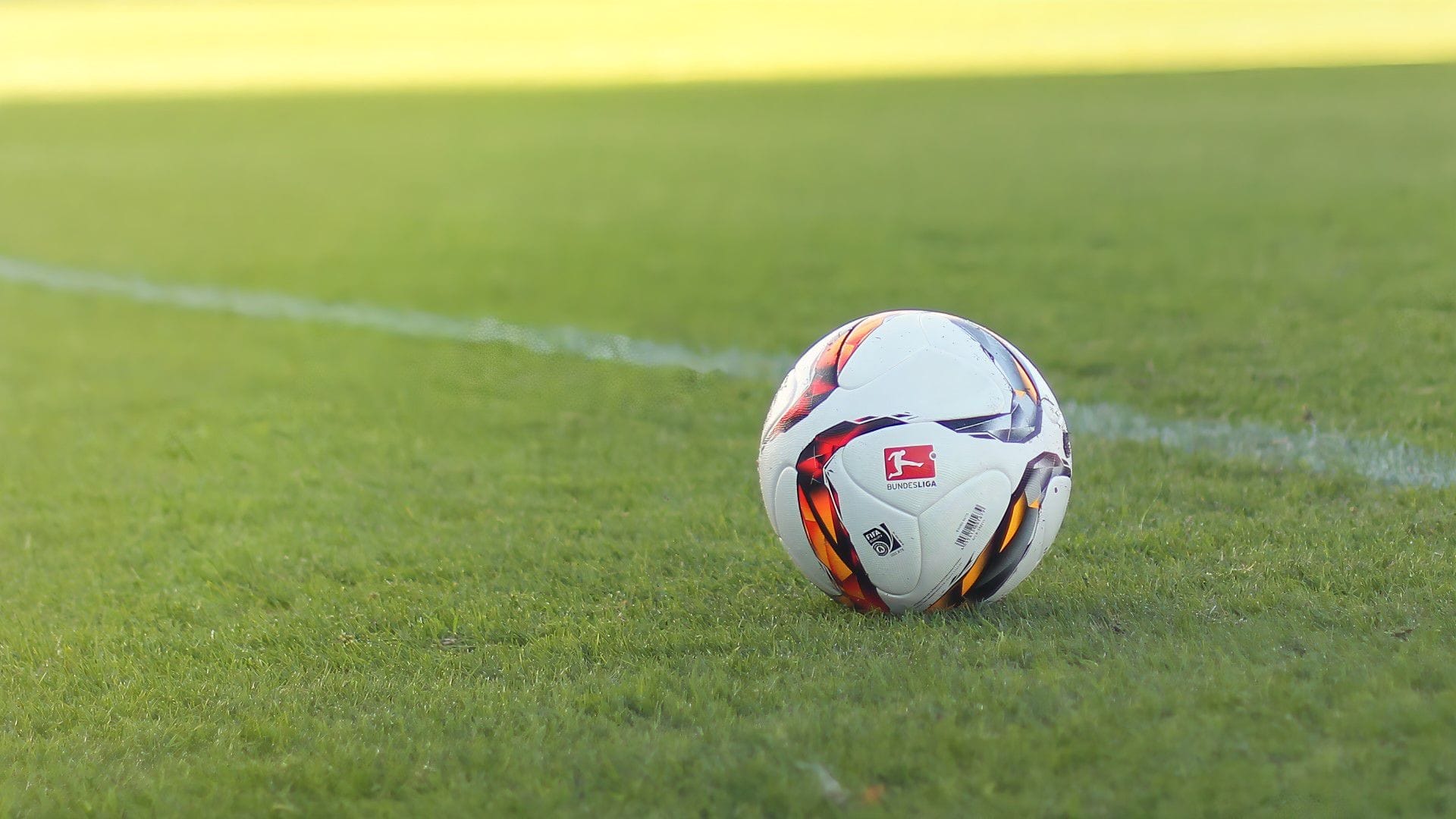 Viva Soccer