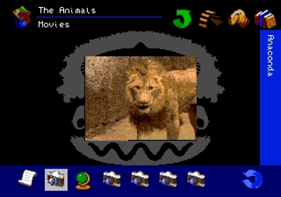 The San Diego Zoo Presents... The Animals! A True Multimedia Experience - Screenshot - Gameplay