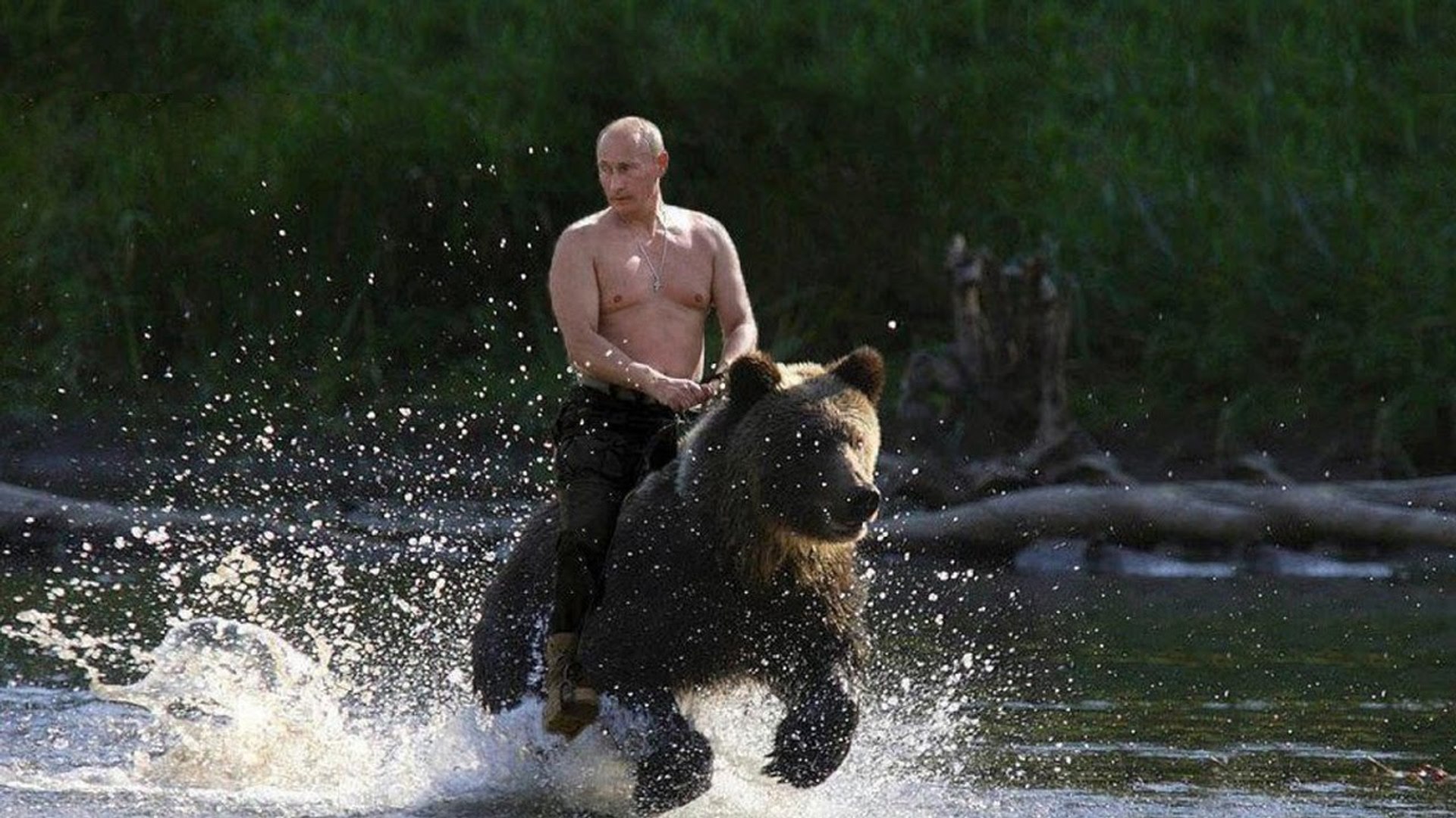 Putin Vodka Mania