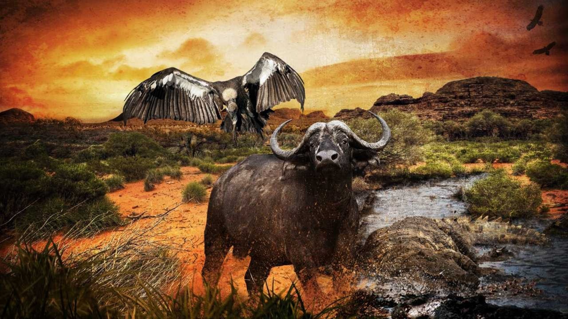 Hunter's Trophy 2: Australia