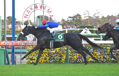 Derby Tsuku: Derby Uma o Tsukurou! - Fanart - Background