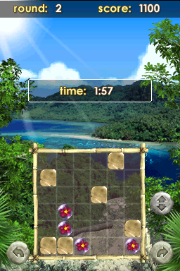 Zenses: Rainforest