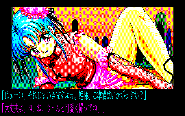 Disk Bishoujo Daizukan