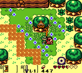 The Legend of Zelda: Link's Awakening DX - Screenshot - Gameplay Image