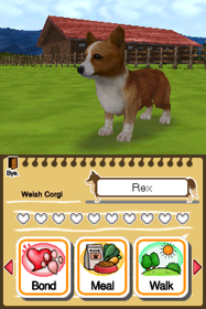 Animal Paradise - Screenshot - Gameplay