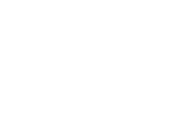 Final Fantasy VIII - Clear Logo