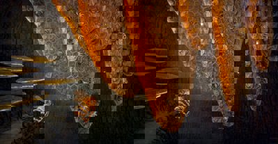 Bee Simulator - Screenshot - Gameplay