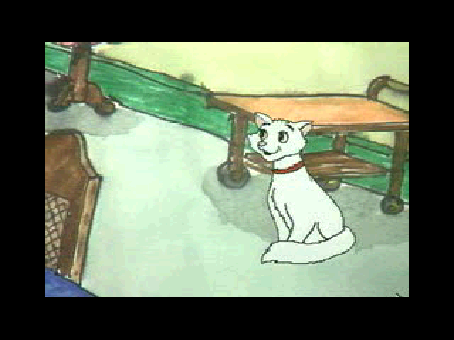 Nice Cats