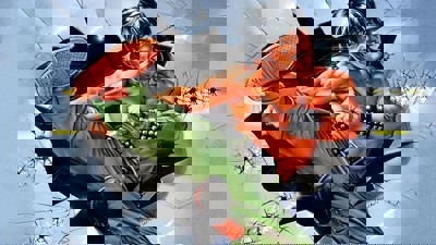 Target: Renegade - Fanart - Background