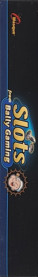 Slots from Bally Gaming - Box - Spine