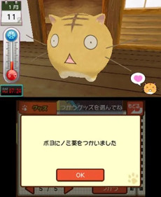 Poyo Poyo Kansatsu Nikki - Screenshot - Gameplay