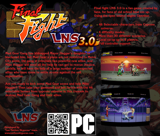 Final Fight LNS - Box - Back Image