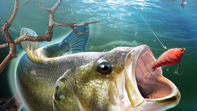 Bass Pro Shops: The Strike