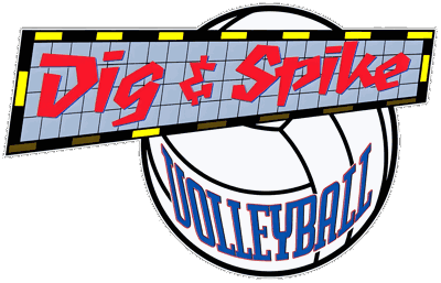 Dig & Spike Volleyball - Clear Logo Image