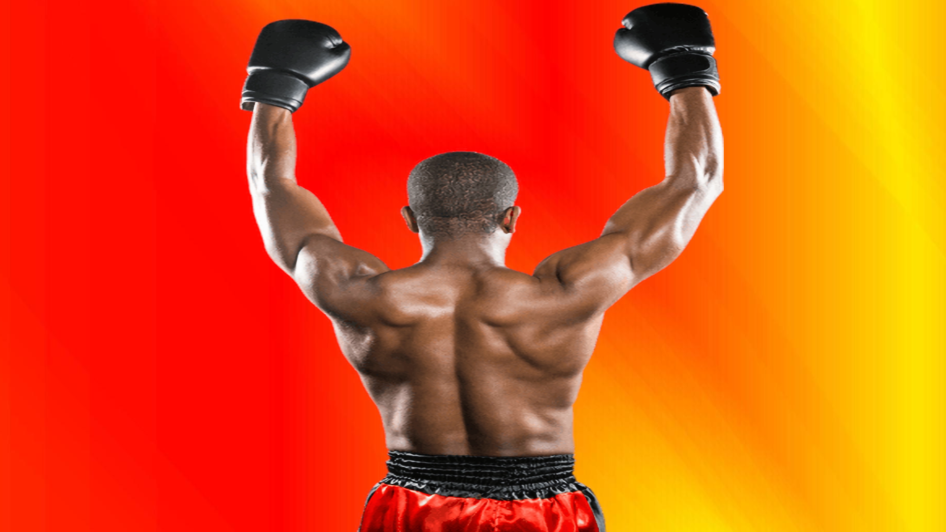 Showtime Championship Boxing