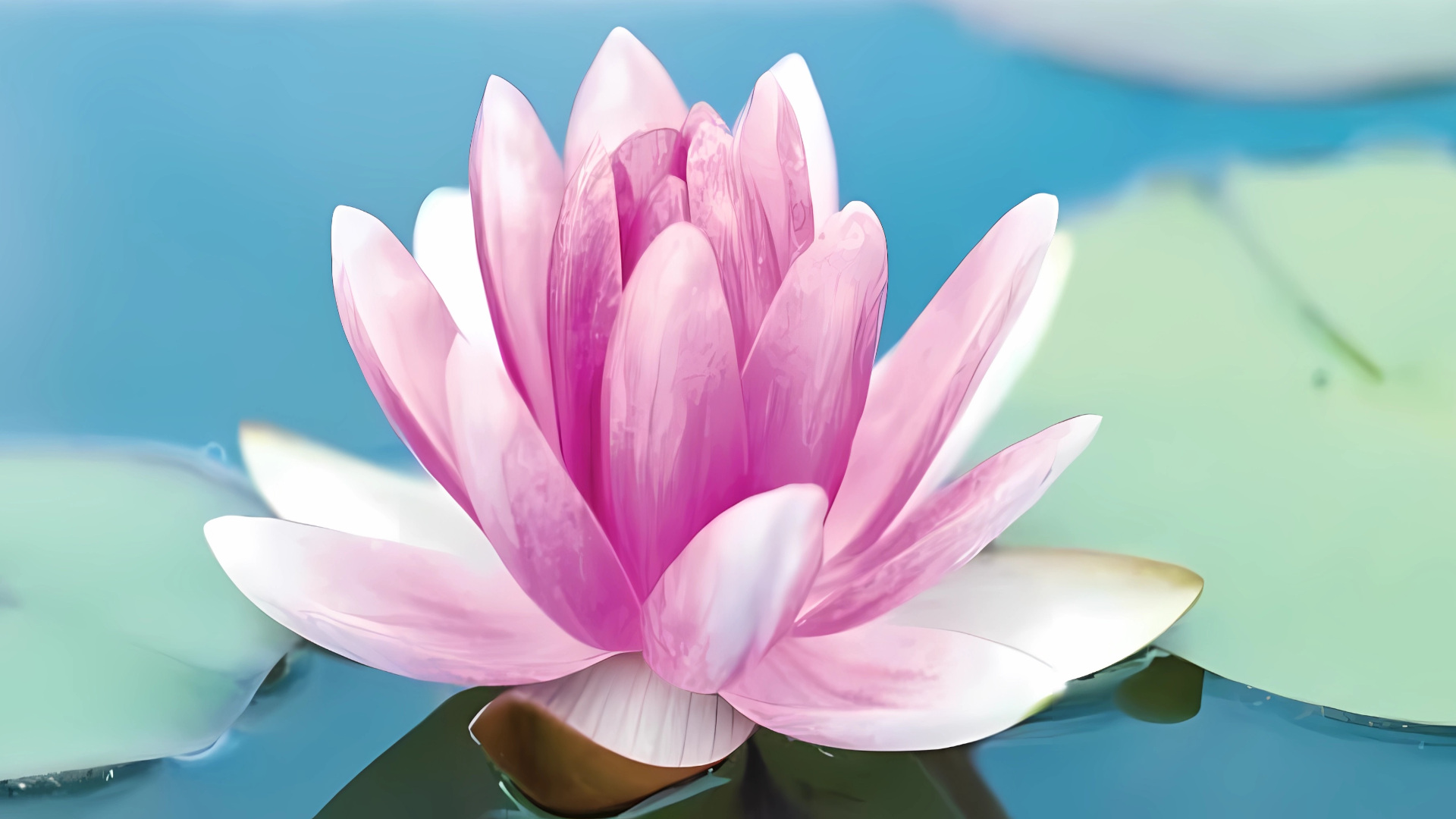 Zenses: Zen Garden